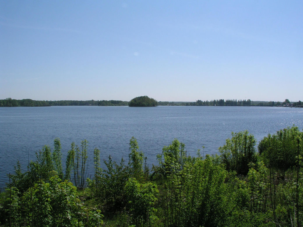 Dzierżno Małe to ukryta leśna perła