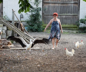 Młody bocian wypadł z gniazda. Przeżył dzięki opiece ludzi!