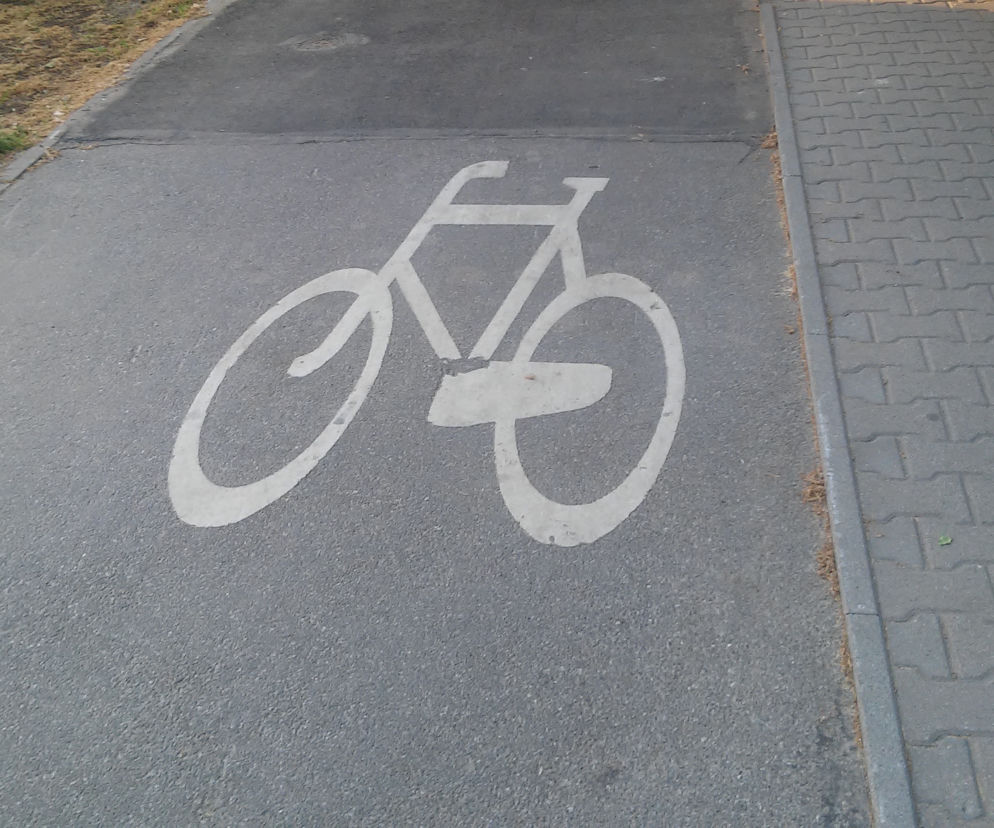 Teraz we Wrocławiu jest 250 kilometrów ścieżek rowerowych