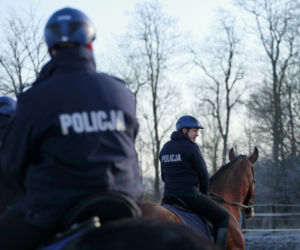 Policja konna z Poznania ma nowego współpracownika