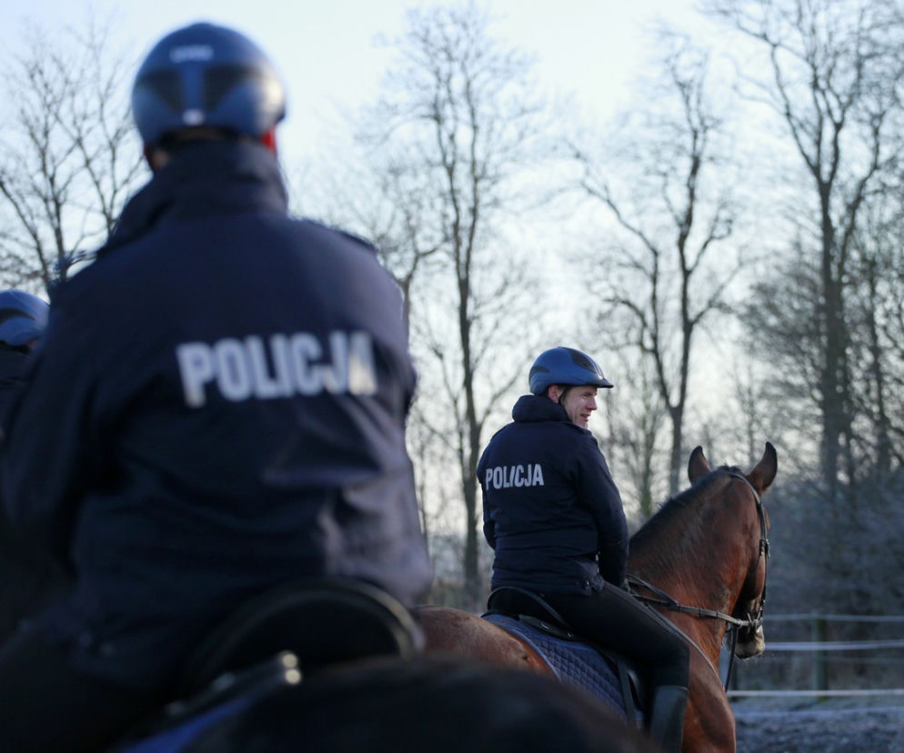 Policja konna z Poznania ma nowego współpracownika