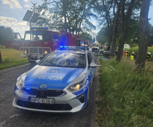 Ucieczka przed policją zaczęła się w Wąbrzeźnie. Skończyła na drzewie