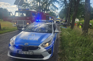 Ucieczka przed policją zaczęła się w Wąbrzeźnie. Skończyła na drzewie