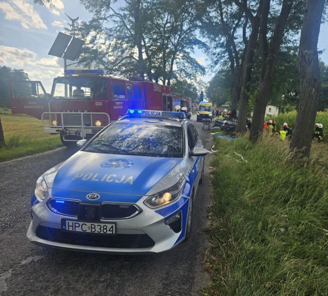 Ucieczka przed policją zaczęła się w Wąbrzeźnie. Skończyła na drzewie