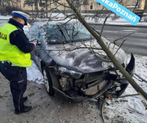 Główne grzechy kierujących w Poznaniu. Gaz do dechy i do przodu