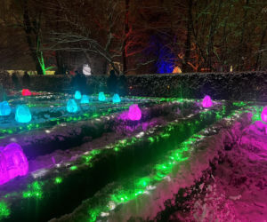 MagicznyBotaniczny 2025/2026 w Warszawie