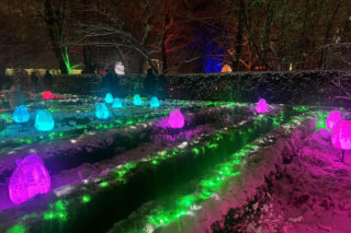 MagicznyBotaniczny 2025/2026 w Warszawie