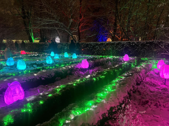 MagicznyBotaniczny 2025/2026 w Warszawie