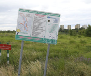 Jeziorko Czerniakowskie