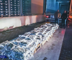 Próbowali przemycić do Polski narkotyki warte 4,5 mln zł