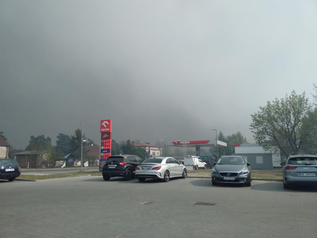 Pożar w Puszczy Białowieskiej