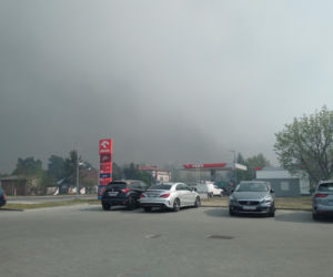 Pożar w Puszczy Białowieskiej