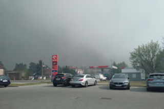 Pożar w Puszczy Białowieskiej
