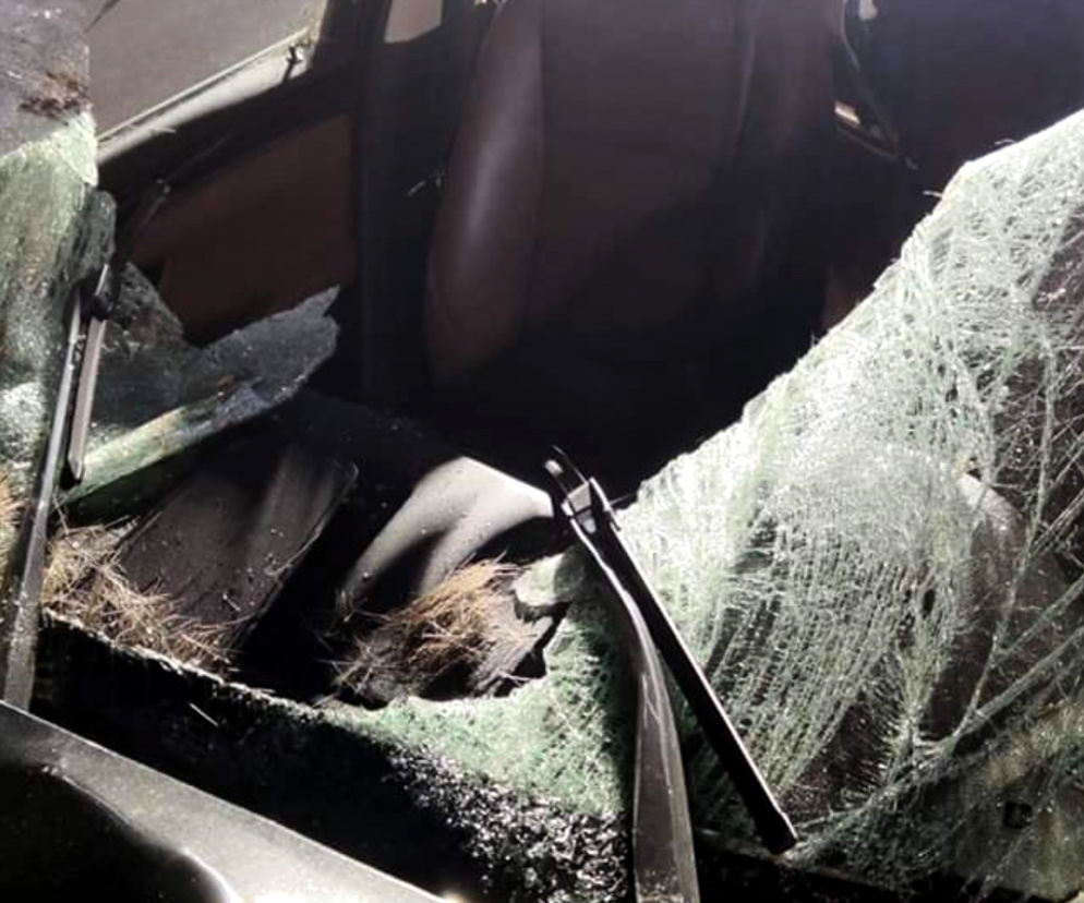 Zderzenie bmw z łosiem w miejscowości Markowszczyzna