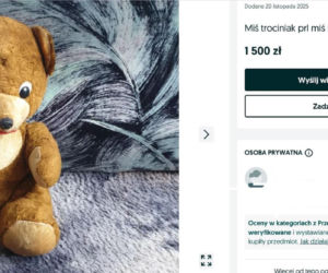 W PRL-u każde dziecko marzyło, aby znaleźć to pod choinką. Dziś za tę zabawkę można dostać krocie