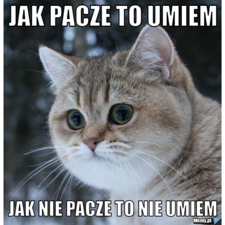 Tak studenci walczą o zaliczenie! Zobacz najlepsze MEMY o sesji!
