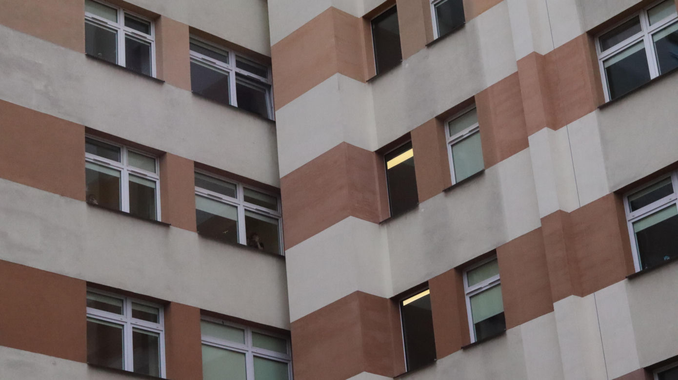 Dzieci z lubelskiego szpitala miały „Bajkowe mikołajki” 2024