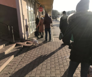 Lublinianie czekają nawet 1,5 godziny po pączki! [GALERIA]