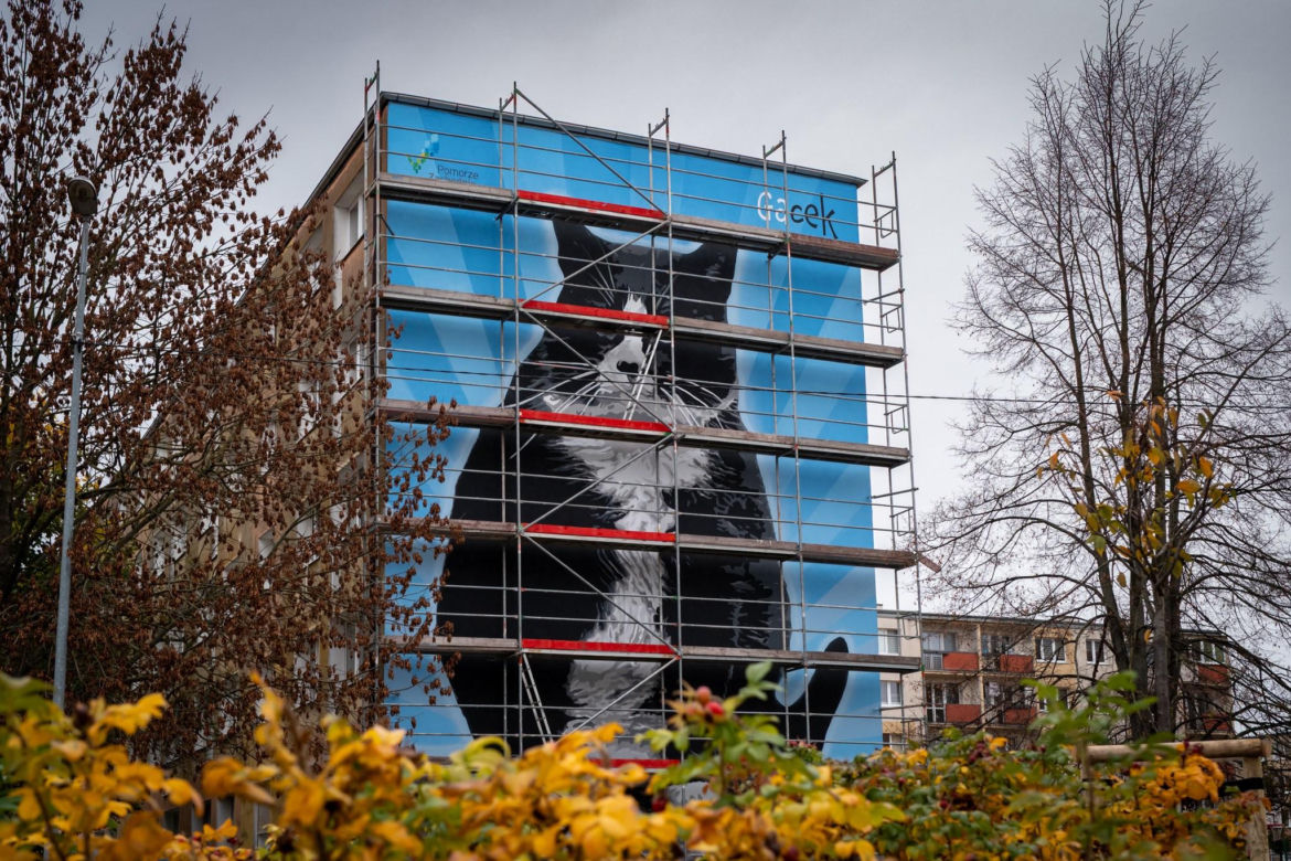 Na ul. Rugiańskiej powstaje mural z kotem Gackiem
