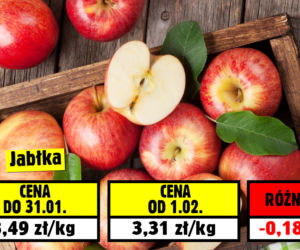 Sprawdź ile zaoszczędzisz od 01.02!