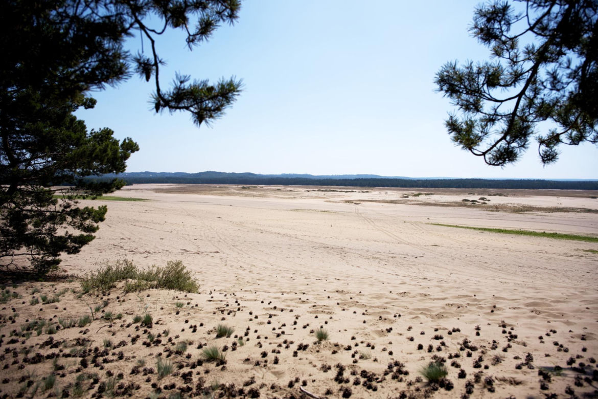 Pustynia Błędowska – polska Sahara