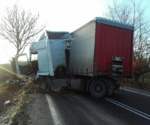 TIR uderzył w drzewo