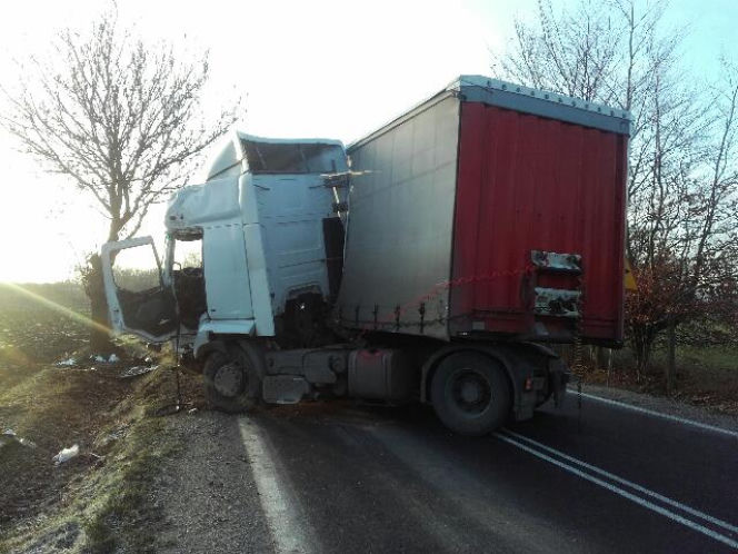 TIR uderzył w drzewo