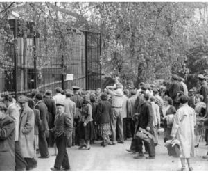 Zoo we Wrocławiu ma już 155 lat