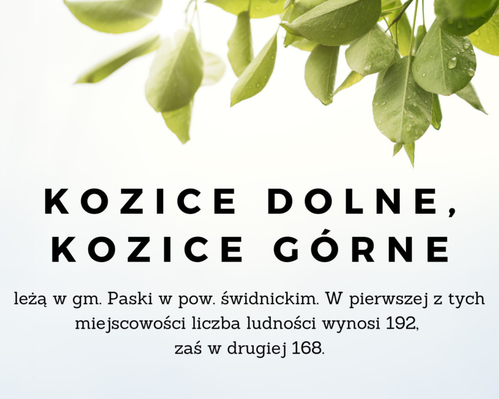 Te nazwy lubelskich miejscowości kojarzą się ze zwierzętami!