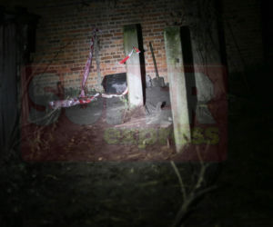 Cicierzyn - matka zakopała dzieci za domem