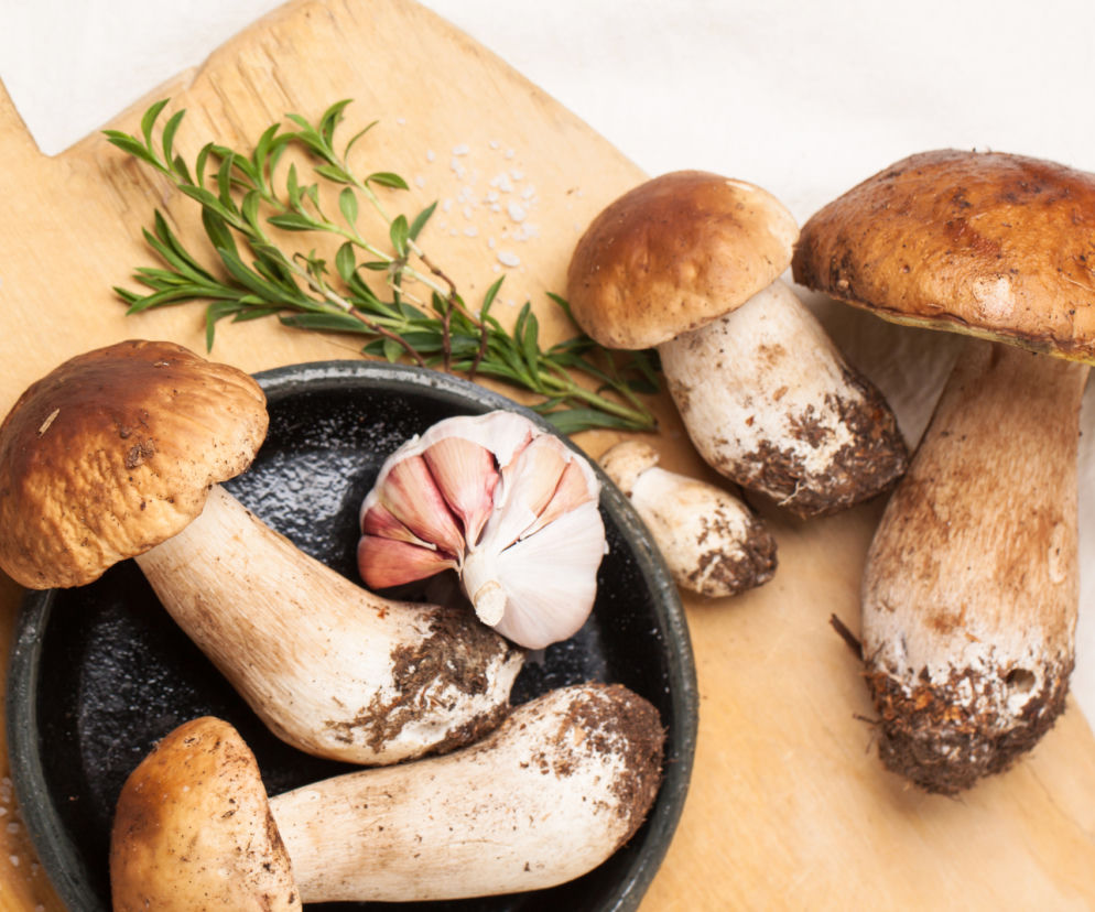Grzyby leśne: szybkie paszteciki grzybowe w cieście francuskim