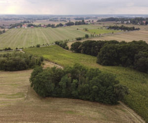 Mikołajowice. Mieszkamy na żyle złota