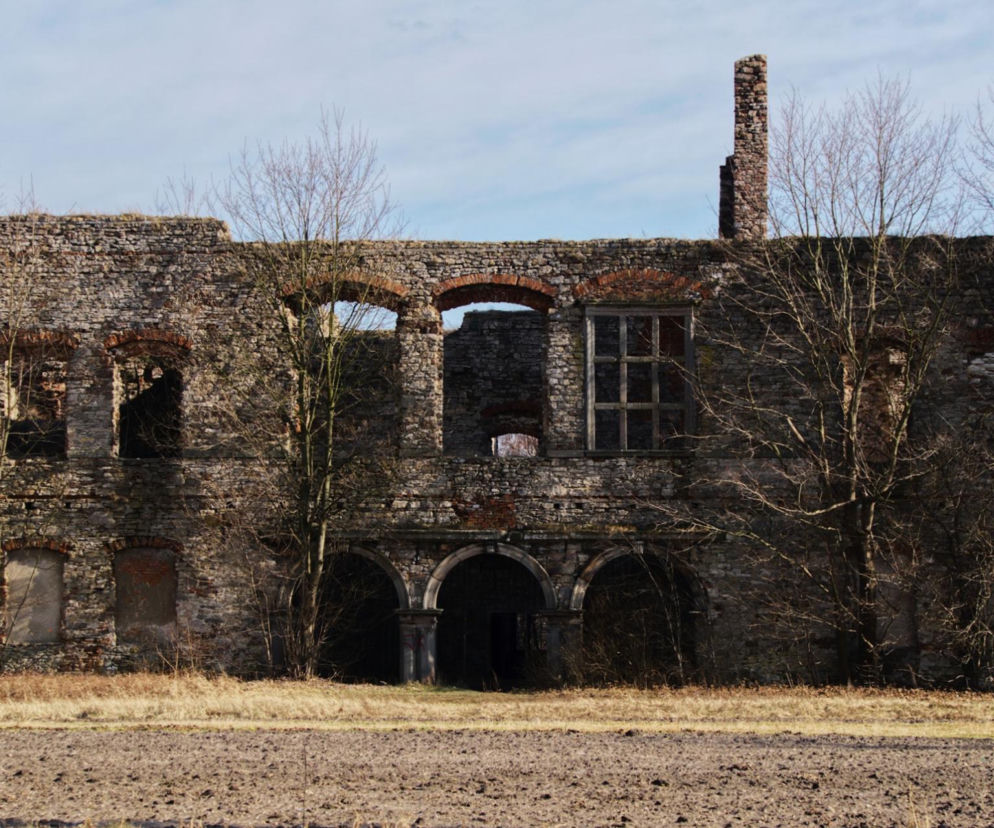 Ruiny Pałacu w Podzamczu Piekoszowskim