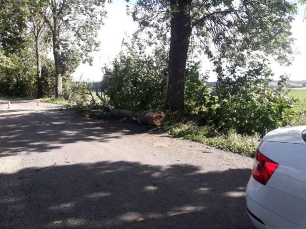 Drzewo spadło na samochód. 59-letni kierowca nie żyje