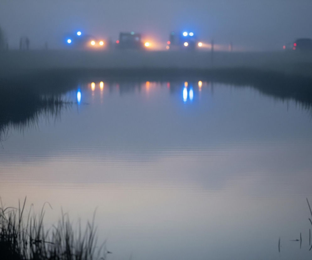 Spokojna tafla wody zajmuje większą część kadru, odbijając rozmazane, jaskrawe światła. Na horyzoncie, w gęstej mgle, widoczne są kontury kilku pojazdów z włączonymi, niebieskimi i pomarańczowymi światłami. Brzegi zbiornika wodnego pokrywa ciemna, długa trawa. Cały obraz spowija mglista, niebiesko-szara atmosfera.
