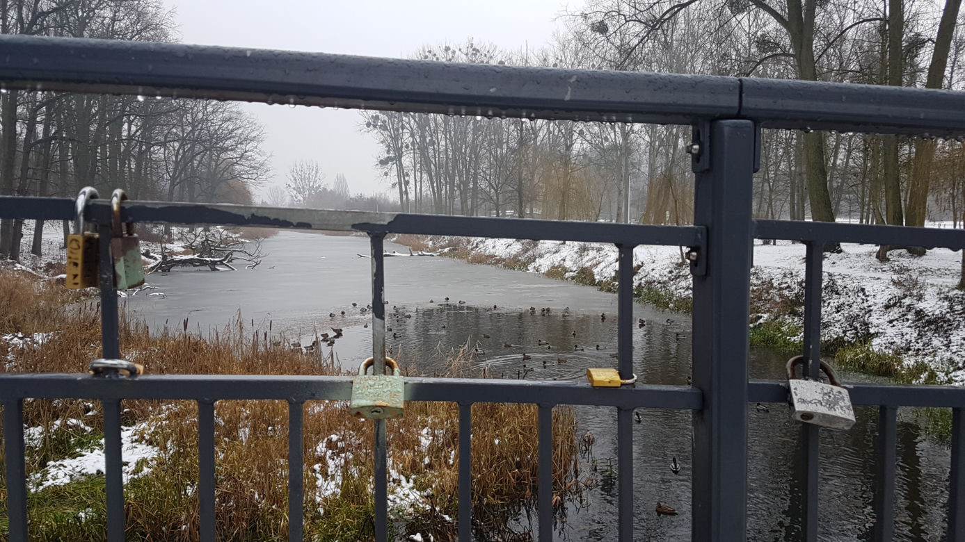 Na spacer po Toruniu