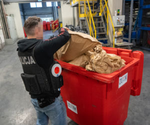 Bydgoszcz: Prawie 80 kilogramów narkotyków poszło z dymem! 
