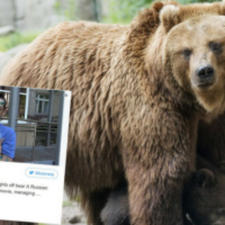 Grzybiarz znokautował niedźwiedzia, jak w filmie Zjawa z Leo DiCaprio [FOTO] 