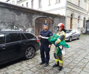 Wielka obława na łabędzia