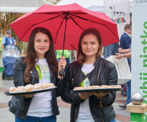 Lubelskie Święto Cydru i koncert Spragnieni Lata