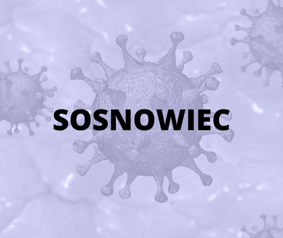 Sosnowiec - 110 zakażonych