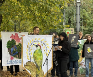 Protest