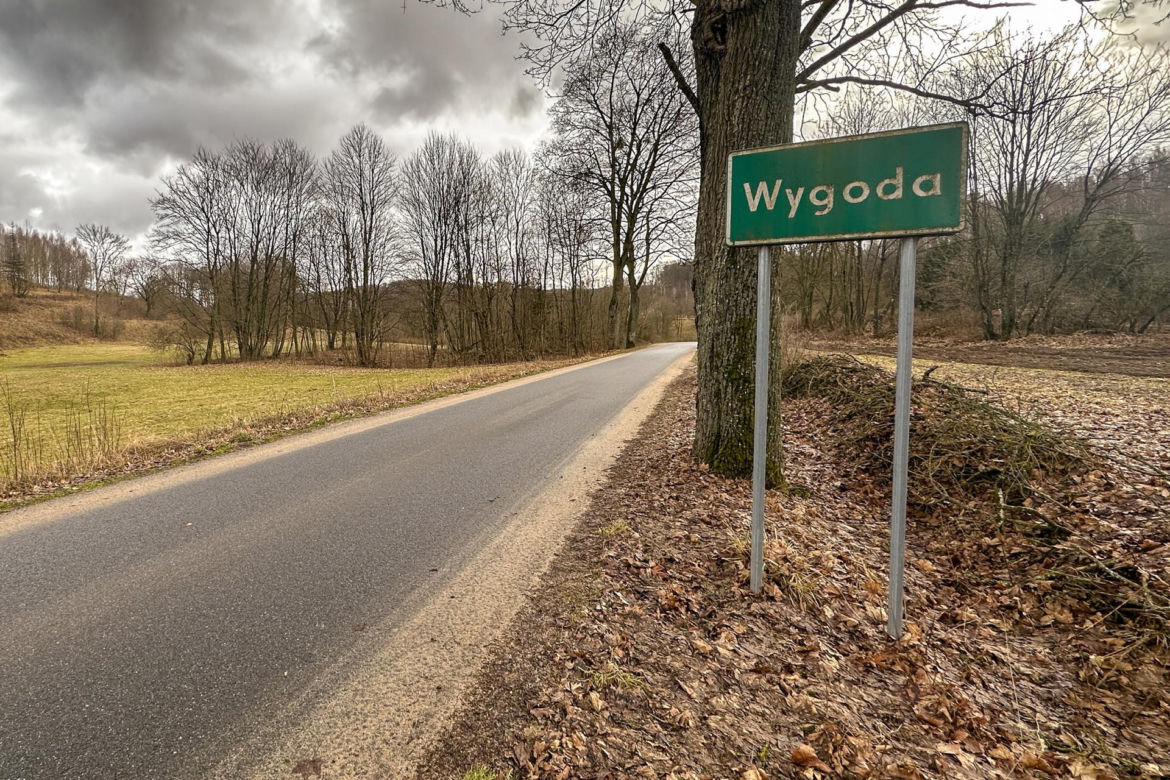  Wilki rozszarpały dwa psy na oczach malutkiego Stasia! Mieszkańcy przerażeni