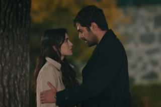 Wichrowe wzgórze odc. 320