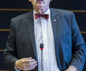 Majątek europosłów