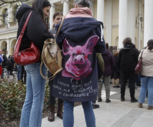 Warszawa. Protest w obronie dzików