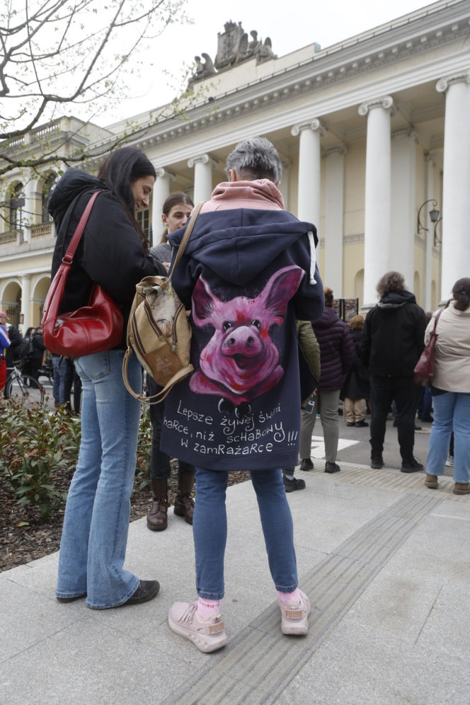 Warszawa. Protest w obronie dzików