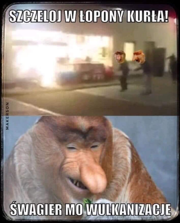 Instrybutor podbija internet