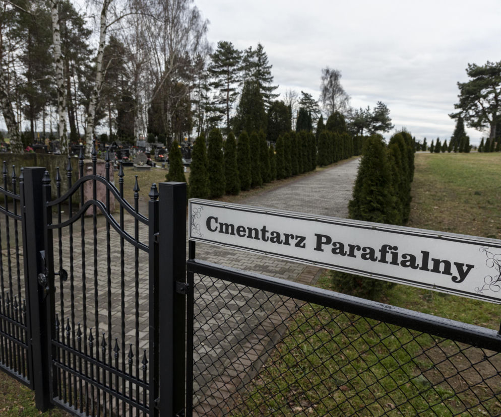 Od 0 do tysiąca złotych. Tyle płaci się za miejsce na cmentarzu we Wrocławiu i okolicach