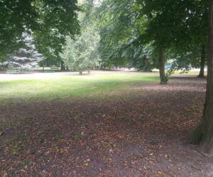 Park przy Dąbrowskiego w Rzeszowie